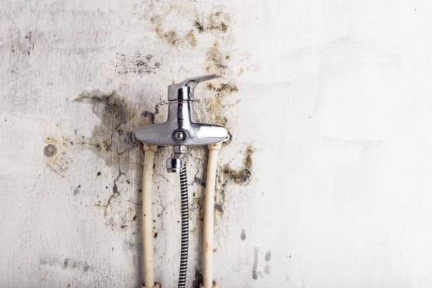 Home Mold Removal in Overland Park, KS