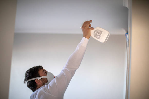 Best Commercial Mold Removal  in Overland Park, KS