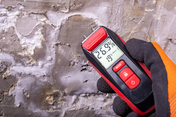 Overland Park, KS Mold Removal Company