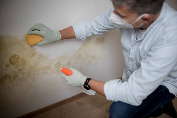Water Damage Restoration in Overland Park, KS
