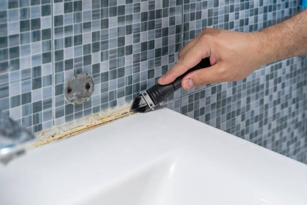 Best Mold Damage Repair  in Overland Park, KS