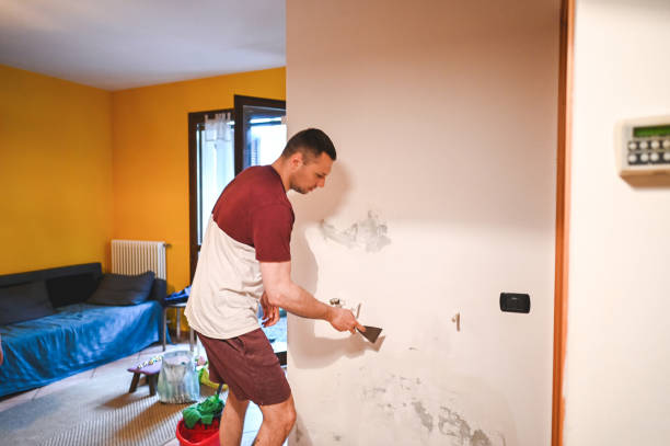 Best Emergency Mold Removal  in Overland Park, KS