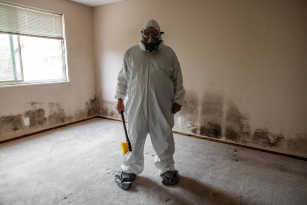 Certified Mold Removal in Overland Park, KS