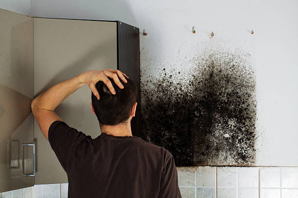 Best Mold Testing  in Overland Park, KS