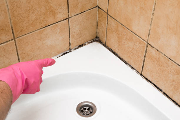 Best Residential Mold Removal  in Overland Park, KS